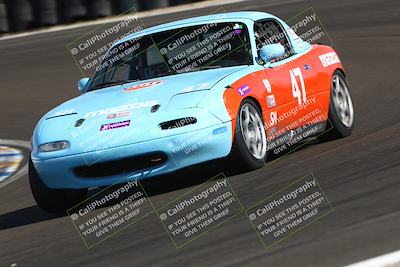 media/Mar-15-2025-CalClub SCCA (Sat) [[f66681bc18]]/Group 5/Race (Turn 6)/